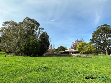 Other (Rural) Sold - VIC - Neerim - 3831 - Panoramic Views! City to Country Getaway  (Image 2)