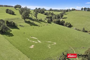 Other (Rural) Sold - VIC - Neerim - 3831 - Beautiful Shady Creek Frontage and Far Reaching Views!  (Image 2)