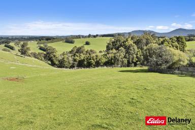 Other (Rural) Sold - VIC - Neerim - 3831 - Beautiful Shady Creek Frontage and Far Reaching Views!  (Image 2)