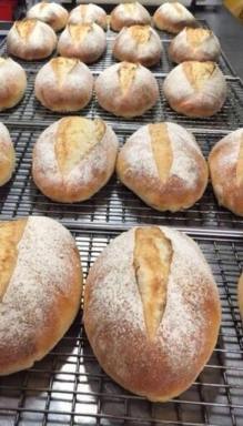 Business For Sale - NSW - Ocean Shores - 2483 - Thriving Bakery Business with 22 Years of Success  (Image 2)