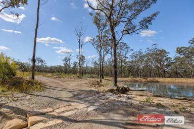 Other (Rural) For Sale - NSW - Lakesland - 2572 - Off grid and outta here! 64 acres approx.  (Image 2)