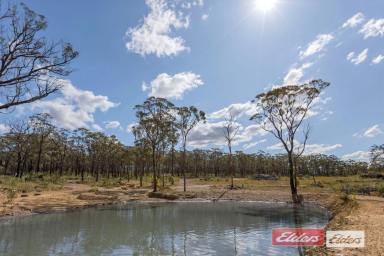 Other (Rural) For Sale - NSW - Lakesland - 2572 - Off grid and outta here! 64 acres approx.  (Image 2)
