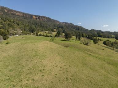 Lifestyle Sold - NSW - Woodhill - 2535 - 'Xanadu' - Endless Potential  (Image 2)