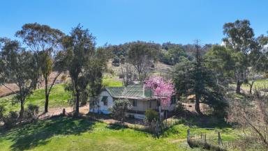 Lifestyle Sold - NSW - Dungowan - 2340 - Ready for a new adventure!  (Image 2)