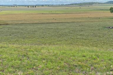 Other (Rural) For Sale - QLD - Mount Tyson - 4356 - Fertile Basalt Farming in Good Location  (Image 2)