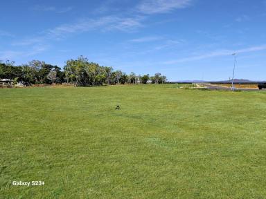 Residential Block For Sale - QLD - Mareeba - 4880 - COUNTRY LIVING ON THE EDGE OF TOWN!  (Image 2)