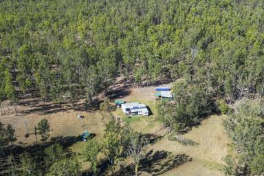 Lifestyle Sold - NSW - Lilydale - 2460 - Huge Acres, Creek Frontage - Ideal Rural Living  (Image 2)