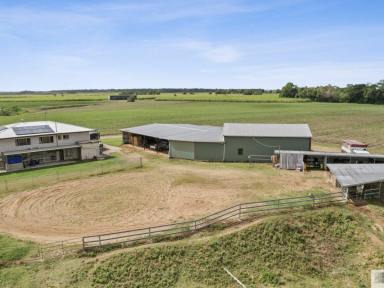 House For Sale - QLD - Euramo - 4854 - FOUR BEDROOM HIGHSET HOME ON APPROX. 4.5 ACRES  (Image 2)