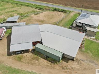 House For Sale - QLD - Euramo - 4854 - FOUR BEDROOM HIGHSET HOME ON APPROX. 4.5 ACRES  (Image 2)