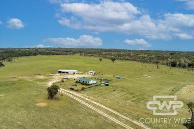 Mixed Farming For Sale - NSW - Bonshaw - 2361 - Gum Camp  (Image 2)