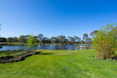 Lifestyle Sold - VIC - Hamilton - 3300 - IMMACULATE FAMILY HOME – LIFESTYLE WITH ACRES - UNDER OFFER  (Image 2)