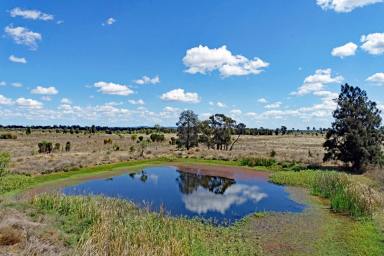 Other (Rural) Sold - QLD - Jambin - 4702 - Argoon Grazing Property  (Image 2)