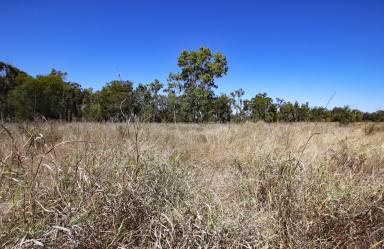 Other (Rural) Sold - QLD - Jambin - 4702 - Argoon Grazing Property  (Image 2)