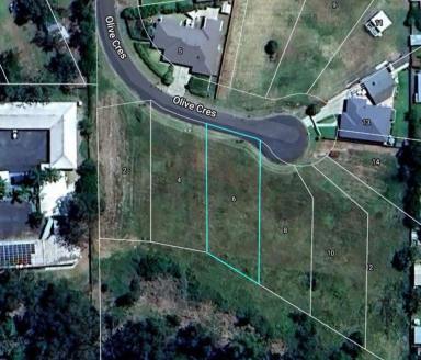 Residential Block For Sale - NSW - Moree - 2400 - Central Building Block!  (Image 2)