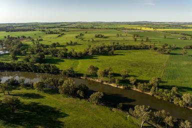Lifestyle For Sale - NSW - Euberta - 2650 - Build your home on the banks of the Mighty Bidgee  (Image 2)