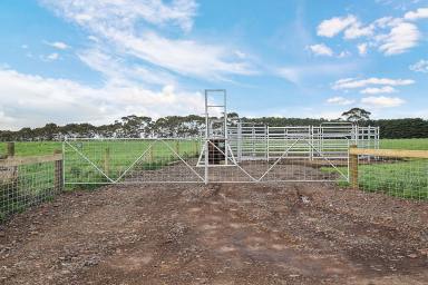 Cropping Sold - VIC - Irrewarra - 3249 - PRIME WELL LOCATED COLAC DISTRICT ACREAGE  (Image 2)