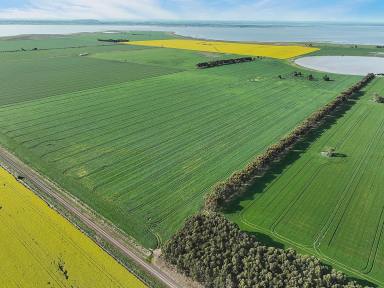 Cropping Sold - VIC - Leslie Manor - 3260 - TOP QUALITY CAMPERDOWN-LISMORE DISTRICT  (Image 2)