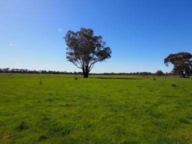 Residential Block Sold - VIC - Alma - 3465 - 61.60HA (152.20 Acres) Well Situated Grazing, Lifestyle or Landbank Opportunity  (Image 2)