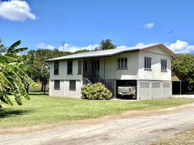 Other (Rural) For Sale - QLD - Brandon - 4808 - 2 x Cane Farms on Edge of Town - 2 Houses - Machinery  (Image 2)