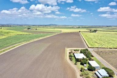 Other (Rural) For Sale - QLD - Brandon - 4808 - 2 x Cane Farms on Edge of Town - 2 Houses - Machinery  (Image 2)