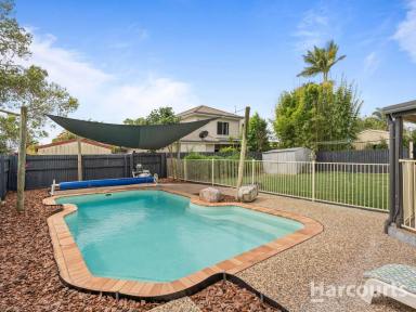 House Sold - QLD - Torquay - 4655 - Business At The Front; Party At The Back ....  (Image 2)