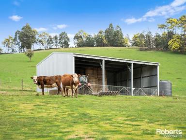 Residential Block For Sale - TAS - Acacia Hills - 7306 - Tranquil Acreage Retreat in Acacia Hills - Perfect Run Off Block For Livestock  (Image 2)