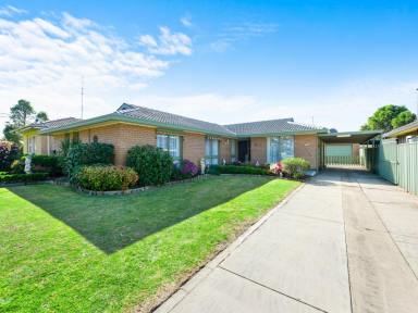 House Sold - VIC - Bairnsdale - 3875 - IDEAL FAMILY HOME IN EDUCATION AND SPORTS PRECINCT  (Image 2)