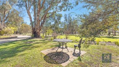 House For Sale - VIC - Wharparilla - 3564 - Residence - Holiday Home 
A short distance to the Murray River  & Boat Ramp

REALLY NEEDS TO BE SEEN - Offers considered. Price Reduced to $870,000  (Image 2)