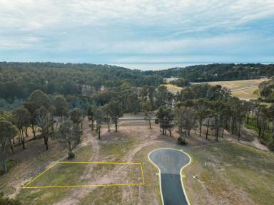 Residential Block For Sale - NSW - Rosedale - 2536 - Prime Residential Land in Rosedale NSW - Your Dream Home Awaits!  (Image 2)