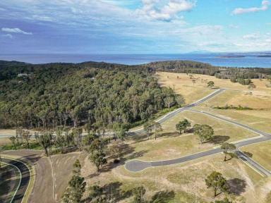 Residential Block For Sale - NSW - Rosedale - 2536 - Prime Residential Land in Rosedale NSW - Your Dream Home Awaits!  (Image 2)