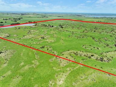 Dairy Sold - VIC - Alvie - 3249 - PRODUCTIVE COLAC - ALVIE DISTRICT FARM  (Image 2)