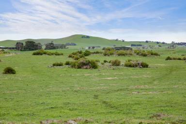 Dairy Sold - VIC - Alvie - 3249 - PRODUCTIVE COLAC - ALVIE DISTRICT FARM  (Image 2)