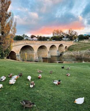 Other (Residential) For Sale - TAS - Richmond - 7025 - 47a & 47b Bridge Street, Richmond - BRIDGE COTTAGE - ARMOURY & SARGEANTS COTTAGES - Built 1823 - PRIME LOCATION, INCOME, HISTORY AND CHARM  (Image 2)