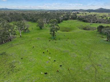 Mixed Farming For Sale - VIC - Stonyford - 3260 - VERSATILE STONYFORD COUNTRY  (Image 2)
