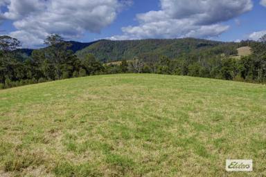 Other (Rural) Sold - NSW - Bobin - 2429 - AN ACREAGE WITH AN ABUNDANCE OF OPTIONS  (Image 2)