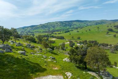 Lifestyle For Sale - VIC - Sheans Creek - 3666 - Exceptional Views and Granite Boulders in Picturesque Sheans Creek  (Image 2)