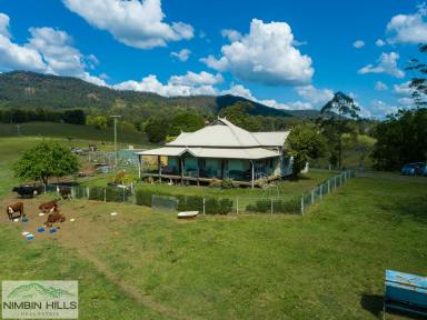 Residential Block For Sale - NSW - Nimbin - 2480 - Three Titles, Two Houses, Endless Opportunities!  (Image 2)