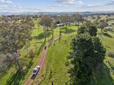 Acreage/Semi-rural Sold - NSW - Wallaroo - 2618 - Deceased Estate - Country Sanctuary On City Doorstep  (Image 2)