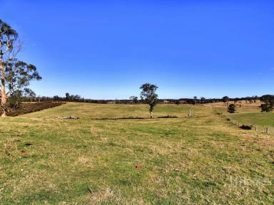 Farmlet For Sale - VIC - Sarsfield - 3875 - ACERAGE AT SARSFIELD  (Image 2)