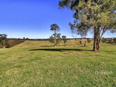 Farmlet For Sale - VIC - Sarsfield - 3875 - ACERAGE AT SARSFIELD  (Image 2)