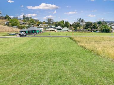 Residential Block Sold - NSW - Kyogle - 2474 - BUILD YOUR DREAM HOME!  (Image 2)