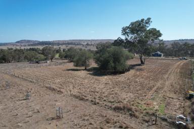 Residential Block For Sale - NSW - Merriwa - 2329 - Peaceful Position!  (Image 2)