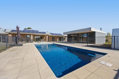 House Sold - VIC - Ross Creek - 3351 - Superb Lifestyle Property On The Edge Of Ballarat  (Image 2)