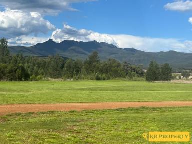 Lifestyle For Sale - NSW - Bullawa Creek - 2390 - TWO HOMES, FANTASTIC SHEDS ON 40 ACRES WITH VIEWS!  (Image 2)