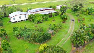 House Sold - QLD - Birkalla - 4854 - Fantastic Food Garden $275K  (Image 2)
