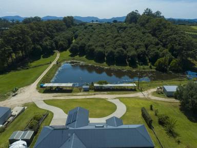 Other (Rural) For Sale - NSW - The Channon - 2480 - 'CHANOOK' One Of Macadamia Country's Finest Properties  (Image 2)