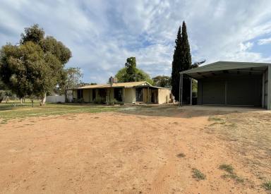 Acreage/Semi-rural Sold - VIC - Nyah - 3594 - A piece of paradise  (Image 2)