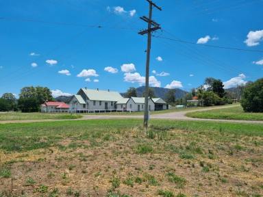 Residential Block For Sale - nsw - Moonan Flat - 2337 - 1/2 Acre Building Block  (Image 2)