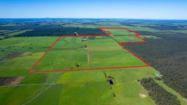 Dairy For Sale - VIC - Condah - 3303 - Family Operated Grass Growing Dairy Farm with Irrigation  (Image 2)