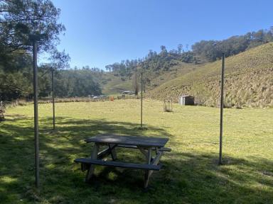 Other (Residential) For Sale - nsw - Stewarts Brook - 2337 - 2 Acres Fronting The Creek  (Image 2)